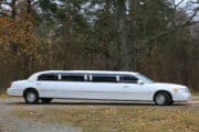 11 Types Of Limos Explained (With Photos) - Lemon Bin Vehicle Guides